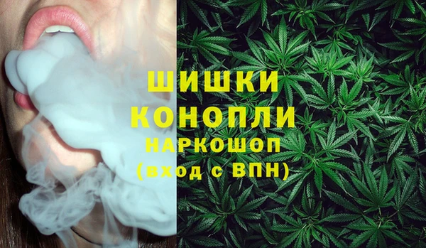 сатива Абаза
