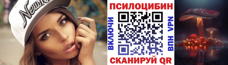 гидра ссылки  Норильск  Псилоцибиновые грибы Psilocybine cubensis 